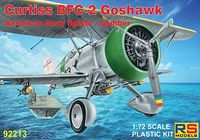 Curtiss BFC-2 Goshawk American Navy fighter - bomber