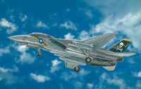 F-14A Tomcat - Image 1